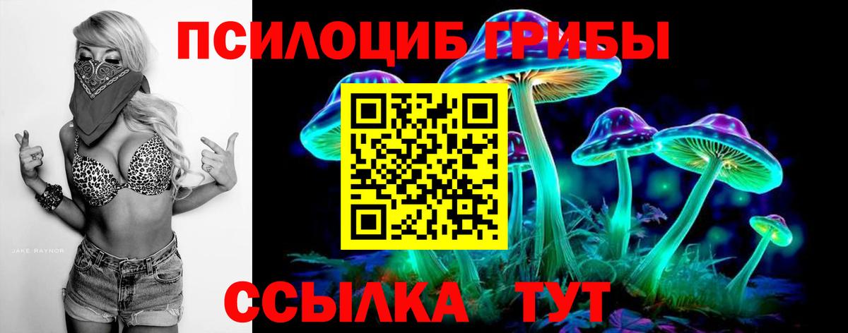 Галлюциногенные грибы Psilocybine cubensis  Вход с VPN  Галлюциногенные грибы Psilocybe  Нурлат 